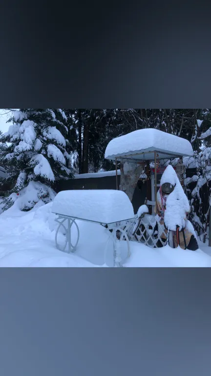 Аленький цветочек