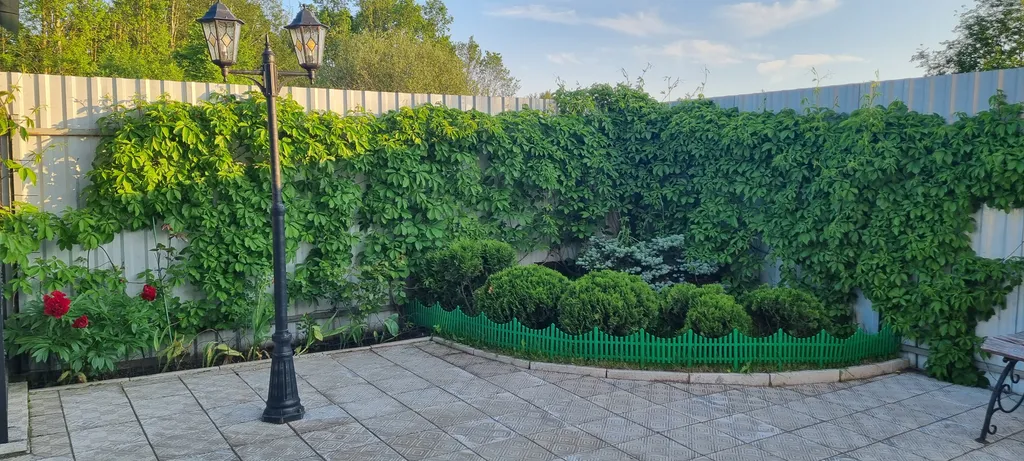 Дом с баней на дровах.