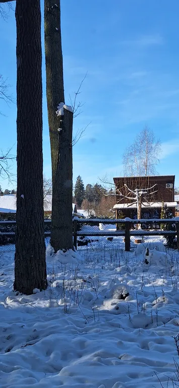 Домик в центре нац. парка Беловежская пуща