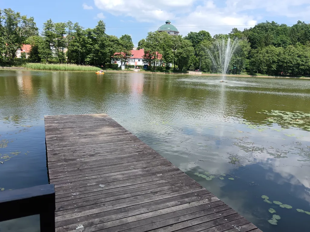 Квартира Уютная квартира — Светлогорск