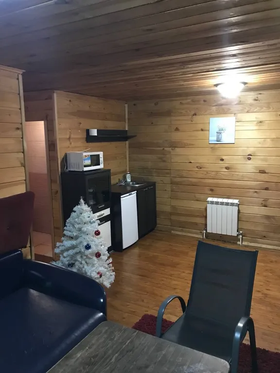 Гостевой дом на берегу реки Базаиха