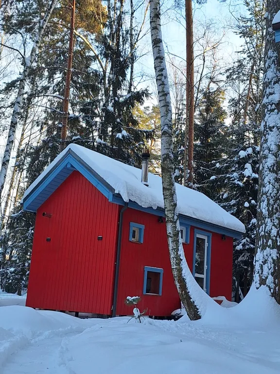 Барнхаус в лесу с голубой гостиной