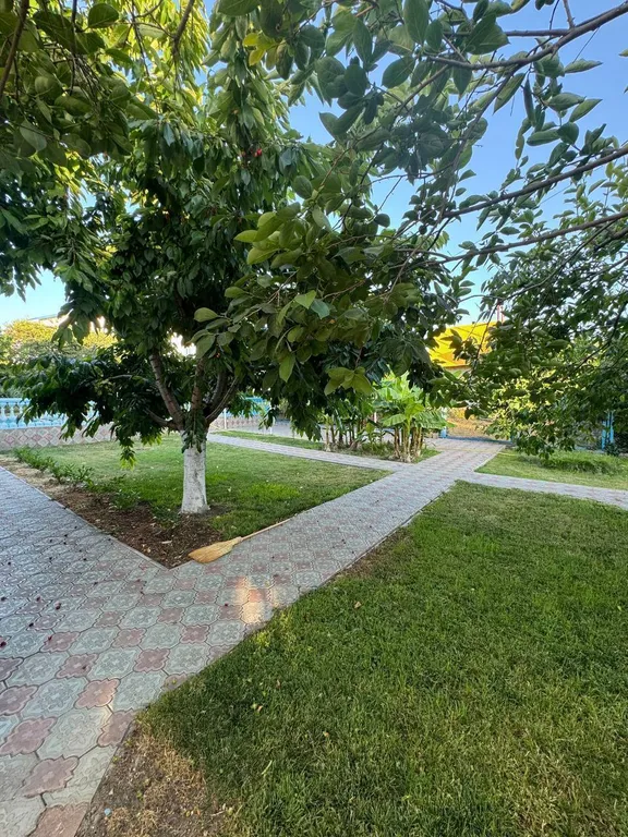 Дом с бассейном