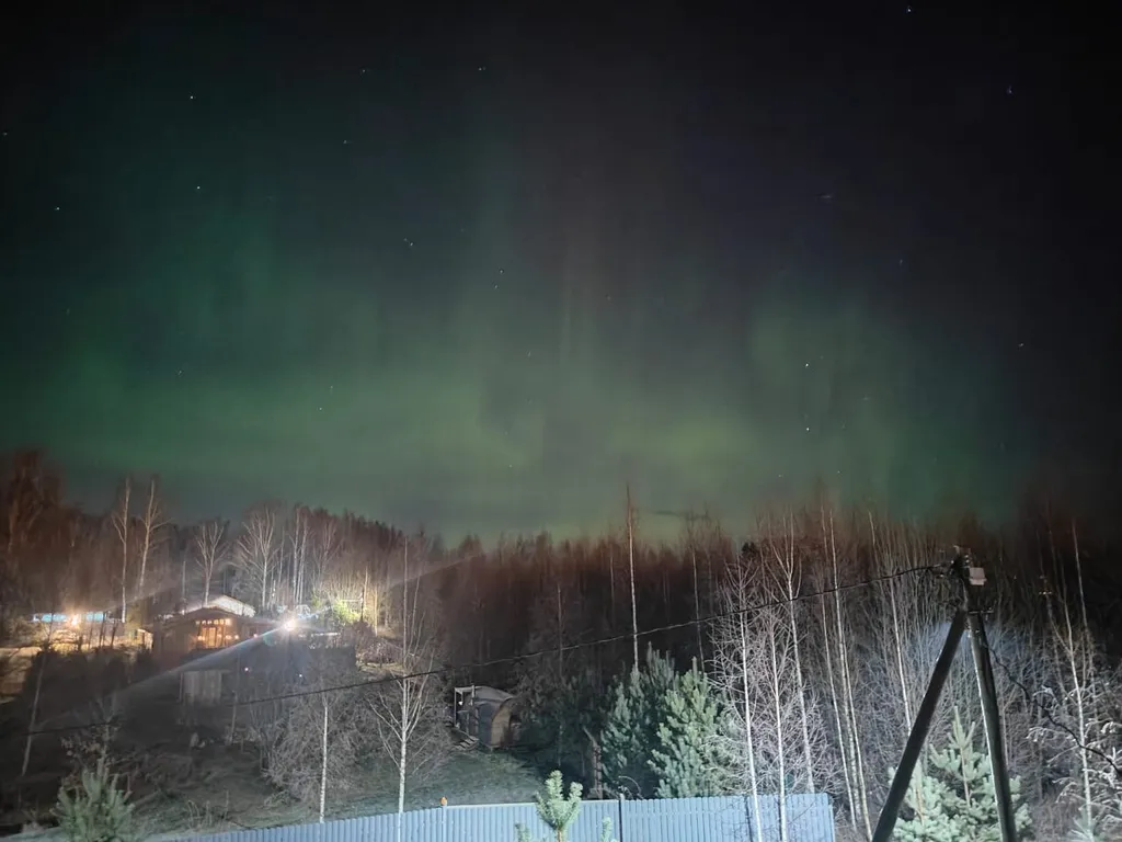 Дом с березовым лесом на участке