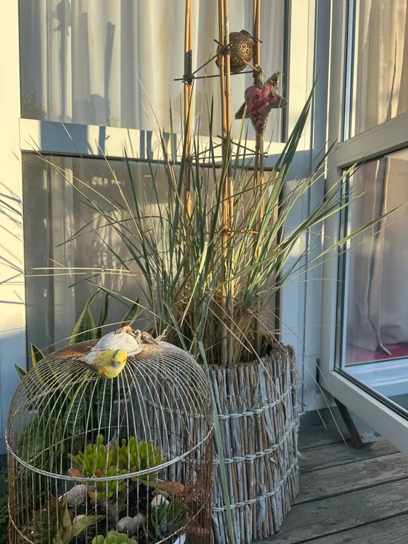 Домик с мини-садом