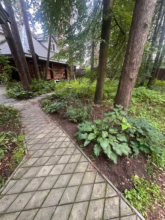 Уютный коттедж в сосновом лесу рядом с Москвой