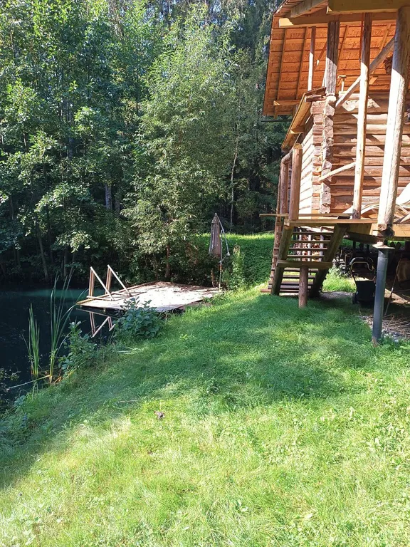 Баня хауз, аппартаменты на агроэкоусадьбе хутор комаришки в заказнике