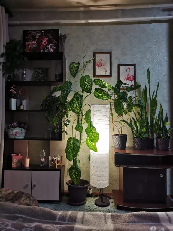 1 уютная квартира в тихом центре