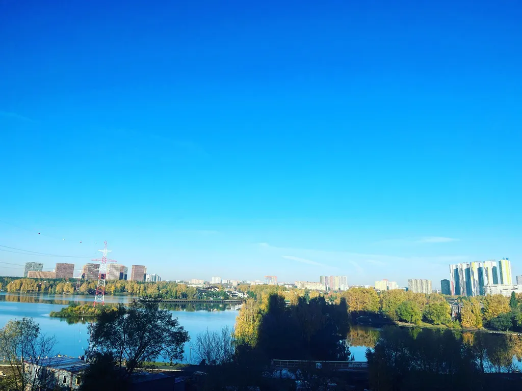 Трешка с видом на залив