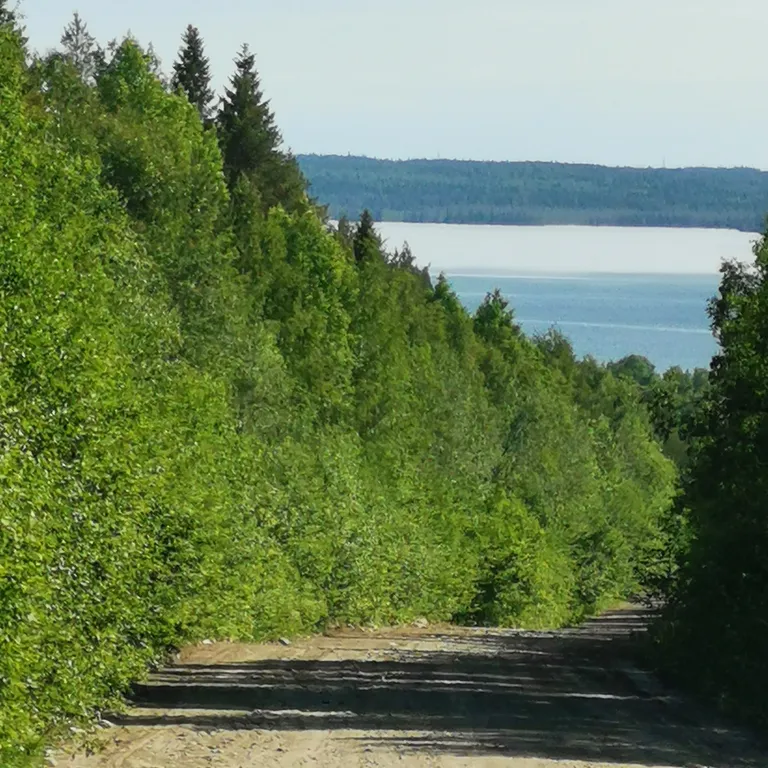 Отдых на Белом море