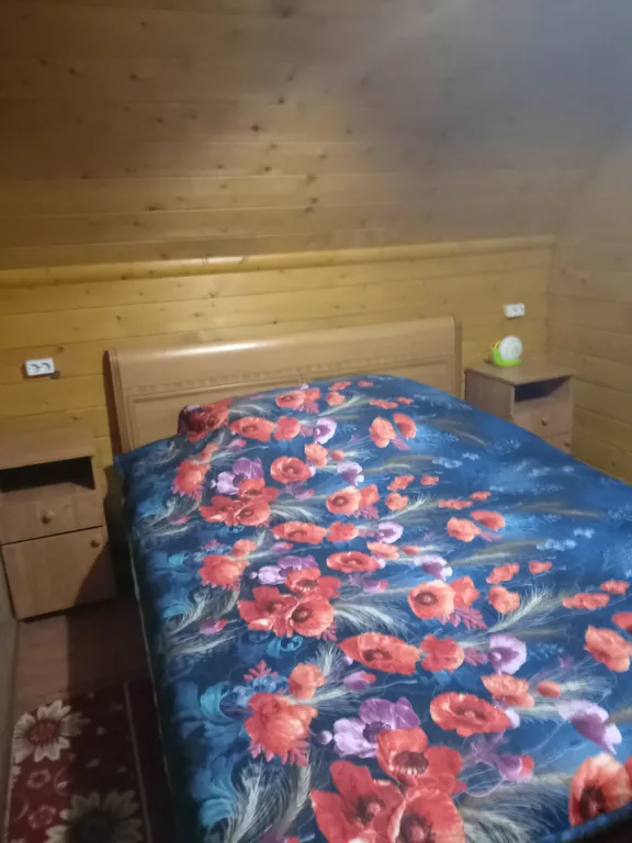 Дом путешественника