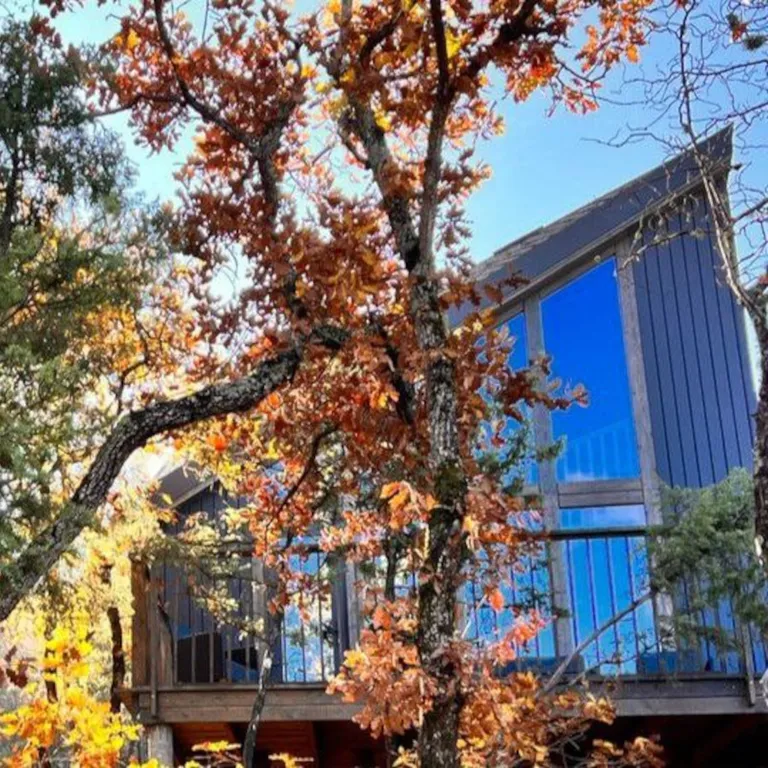 Домик в лесу Шули