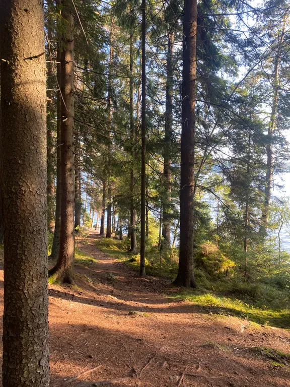 Берлога люкс, коттедж с банным чаном для отдыха с видом на лес и скалы