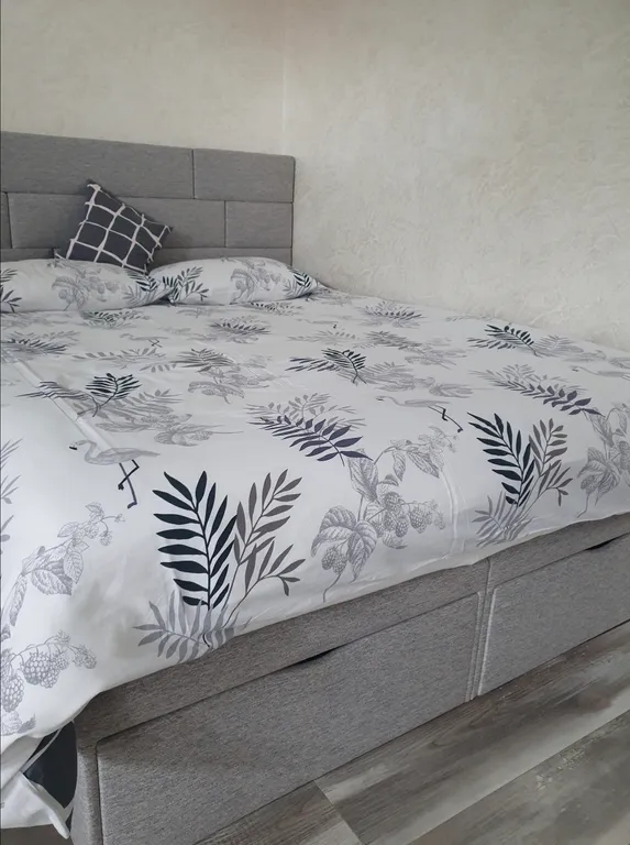 Пешеходная улица Советская закрытая территория аллея фонарей