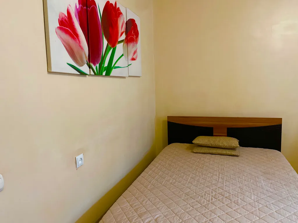 Светлая и уютная квартира в центре города