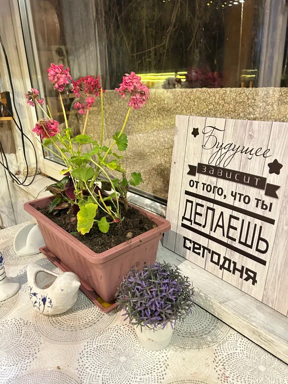 Коттедж Дом в окружении леса с камином, баня с купелью, зона барбекю — Троице-Лобаново