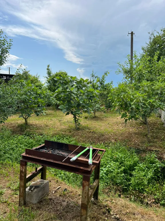 Коттедж Уютный домик с приусадебным участком — Гагра