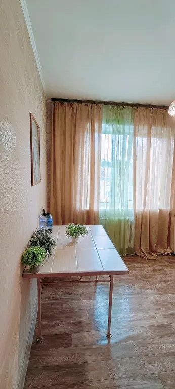 Квартира Квартира Камин, качеля! Напротив кл. Мешалкина. НВВКУ. НГУ. ЦНМТ. Мозайка. Эдэм — Новосибирск