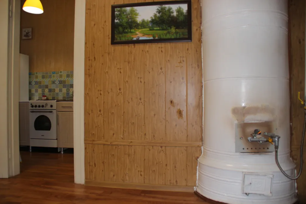 Квартира в Купеческом доме с видом на Красную набережную