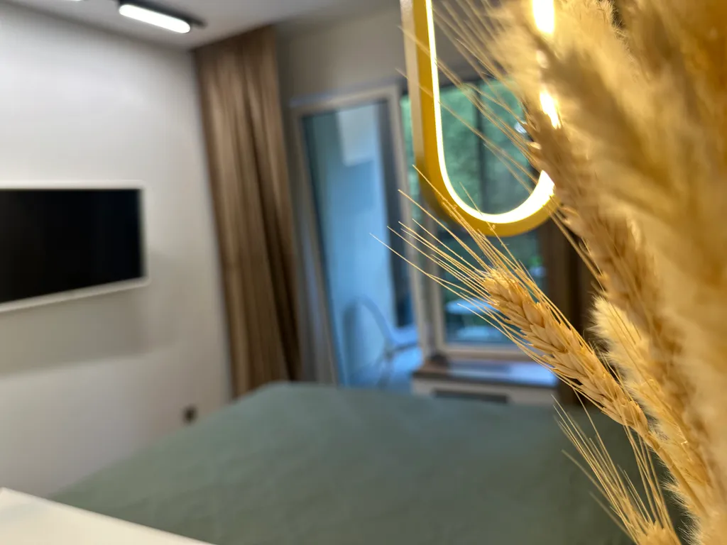 Студия на берегу Финского залива с собственными СПА комплексом