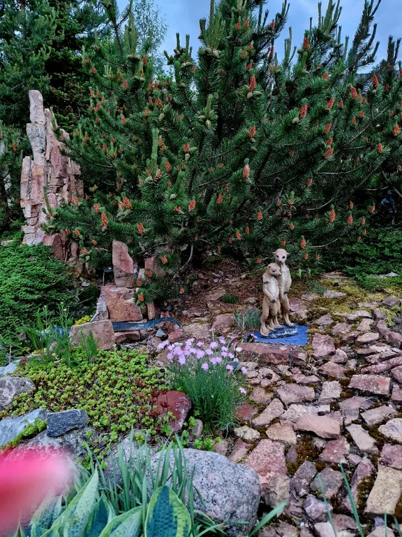 3-комнатный Дом