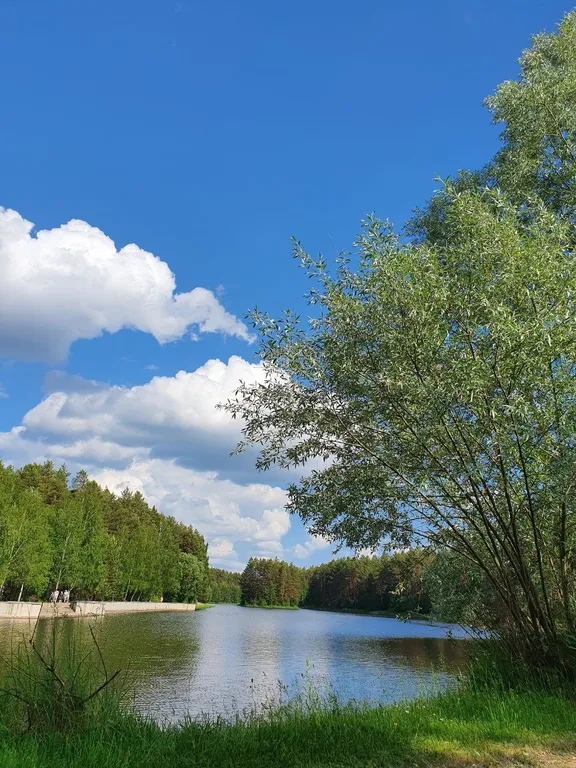 Отдых в замечательном месте на территории санатория Радон