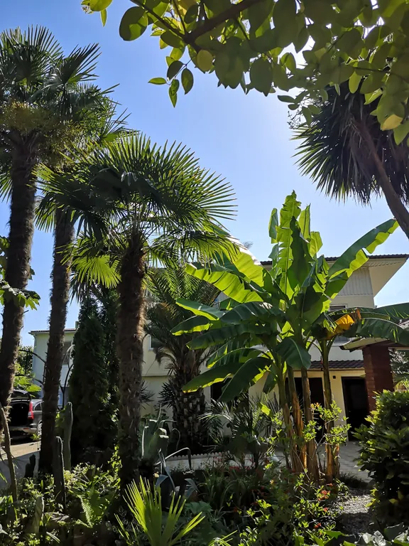 Двухкомнатные апартаменты с кухней, балконом и видом на горы