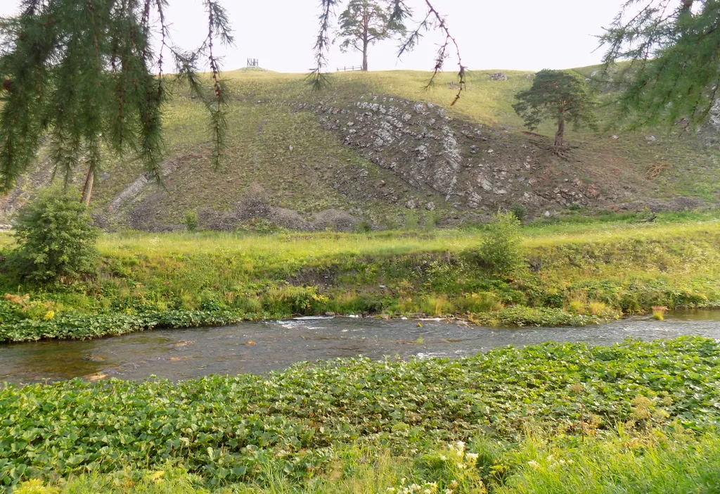 Уютный мини дом с видом на реку