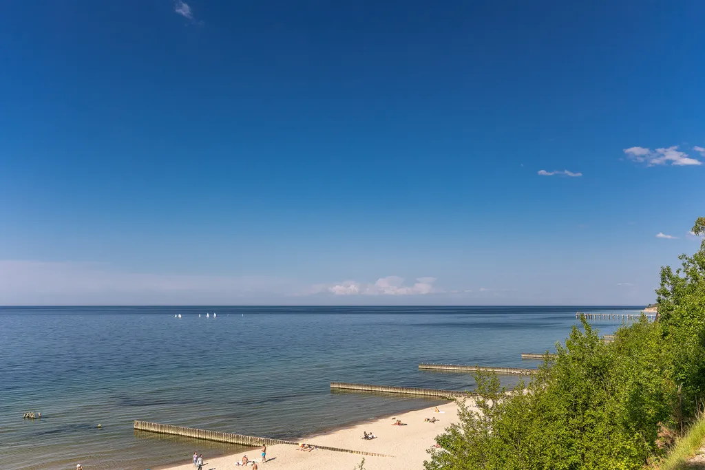 Первая линия у моря в сосновом бору