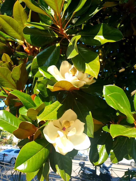 Дом на море