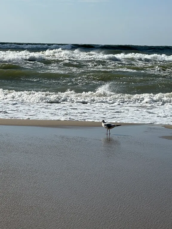 Просторный таунхаус с зимним садом
