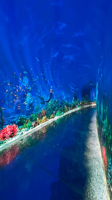 Квартира у парка Галицкого