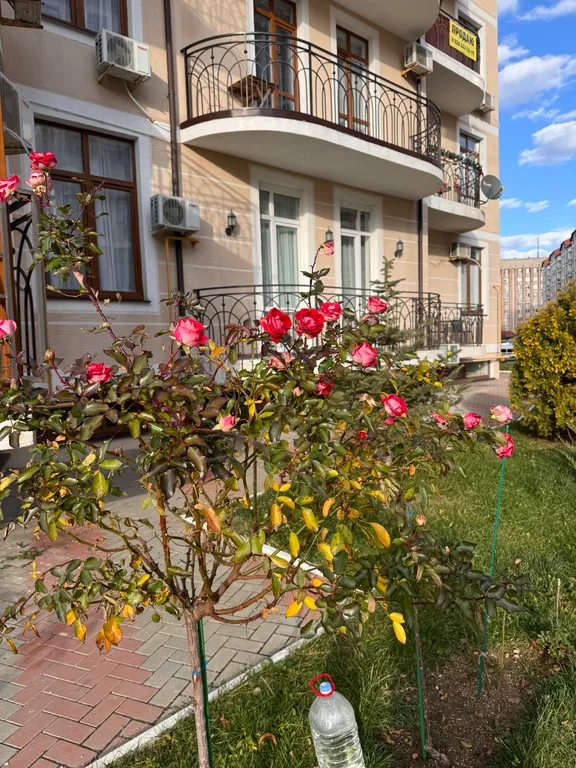 Апартаменты с видом на море