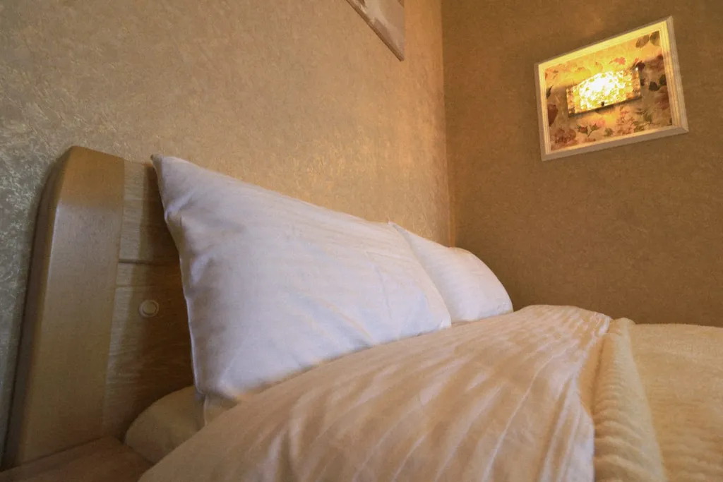 Квартира Уютная квартира в центре с красивым видом на город — Калининград