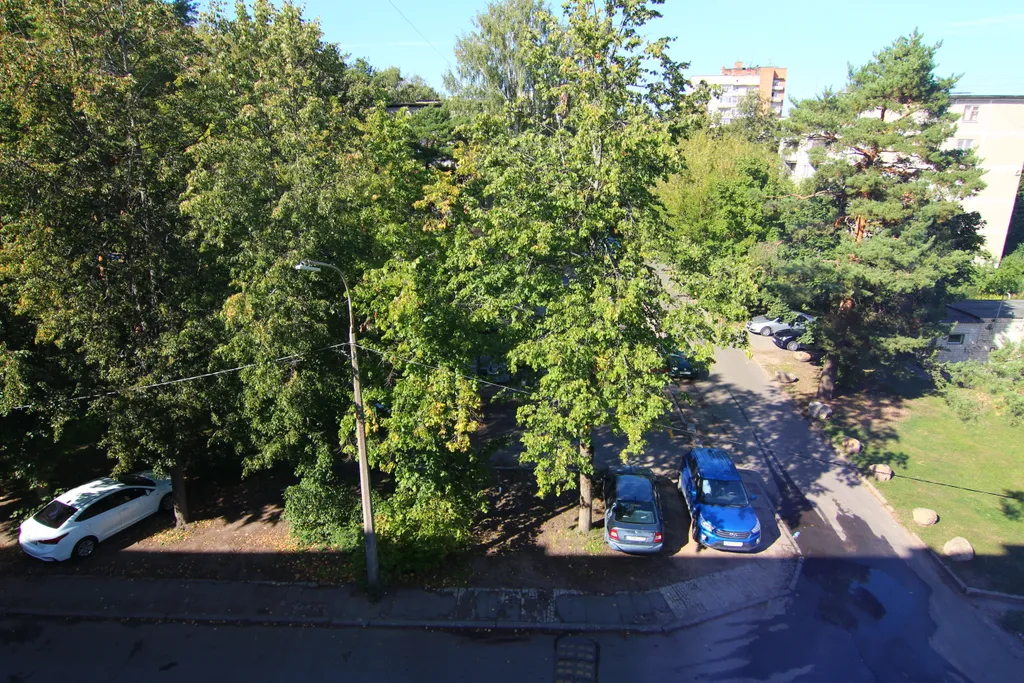 Квартира люкс в зелёном районе