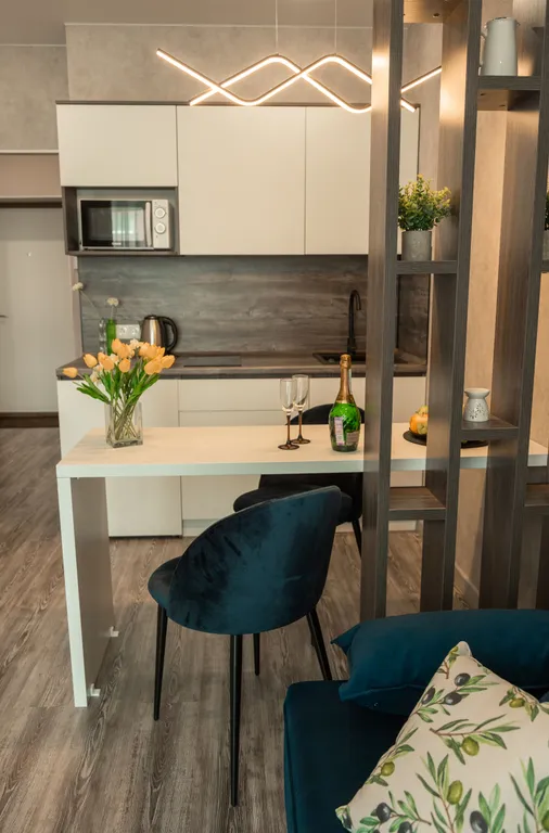 Современный двухкомнатный апартамент