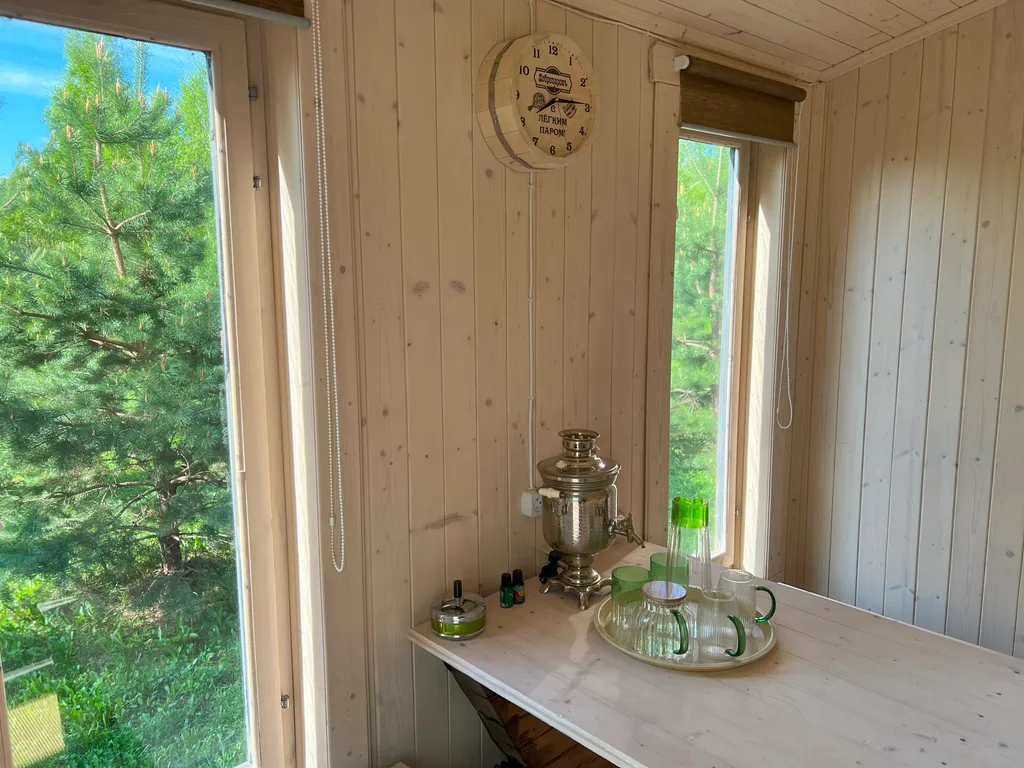 Атмосферный дом в соснах