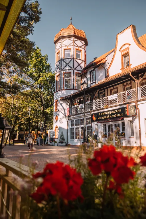 Уютные апартаменты в центре Светлогорска