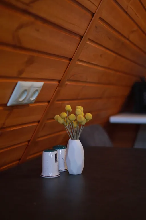 Загородный Шале