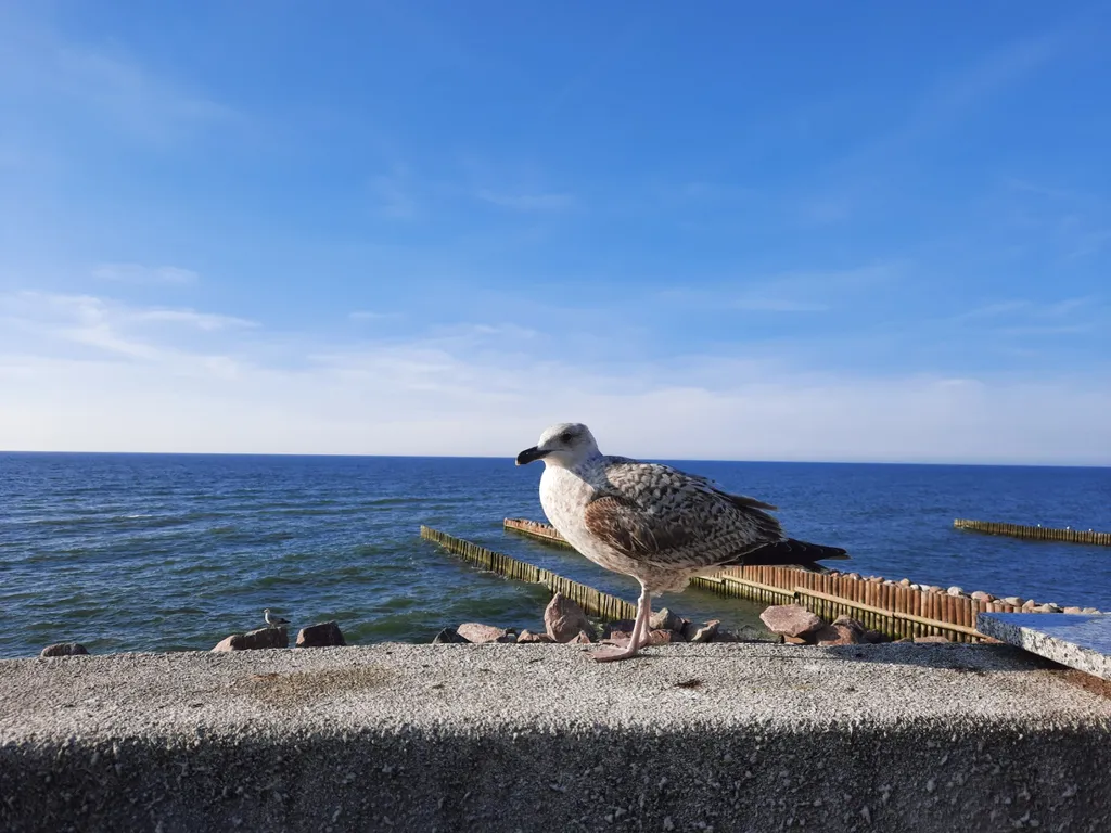 Квартира 1-комнатная Квартира — Сальское