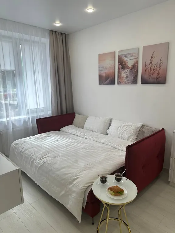 Квартира Уютная квартира — Светлогорск