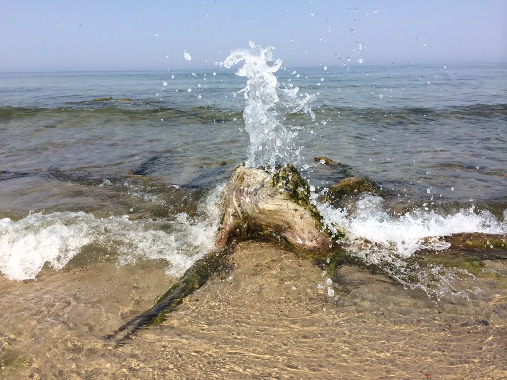 Уютная квартира в центре города — аренда посуточно в Зеленоградск