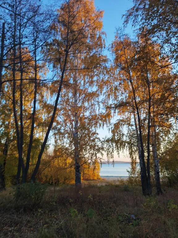 Шале с панорамными окнами и видом на озеро Чебаркуль