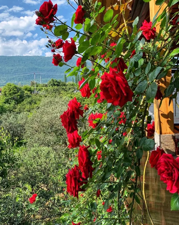 Двухместный стандарт с двуспальной кроватью без балкона на 1 этаже