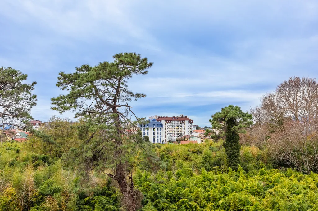 Квартира 1-комнатная Квартира — Сириус