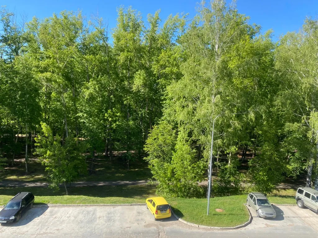 Квартира Уютная квартира с видом на парк — Уфа