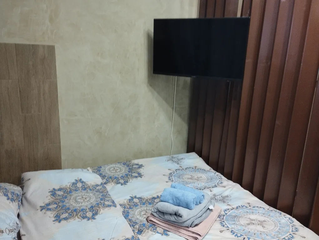 Студия Новоград Павлино