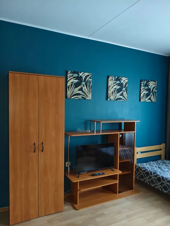 Квартира 1-комнатная Квартира — Пушкин