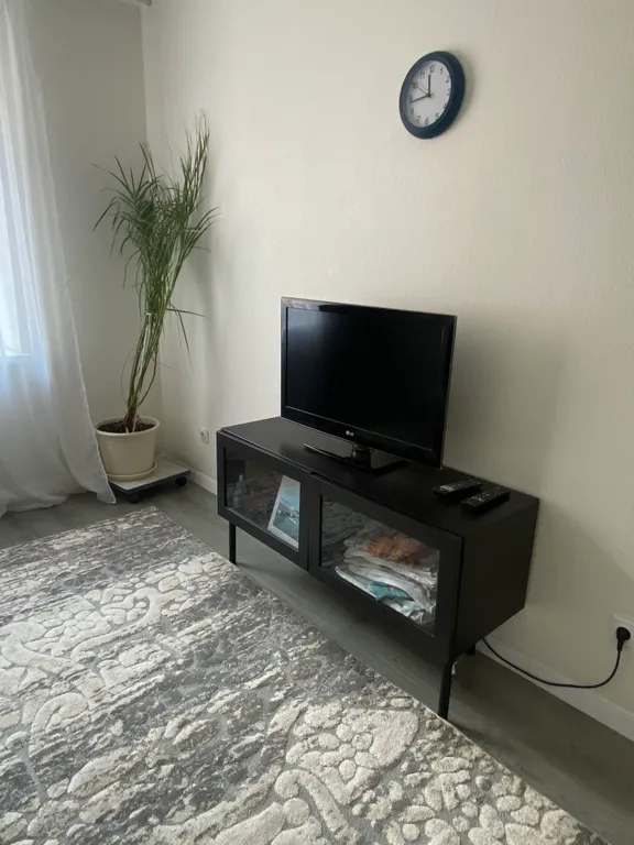 Квартира Однокомнатная квартира с видом на Смольный собор — Санкт-Петербург