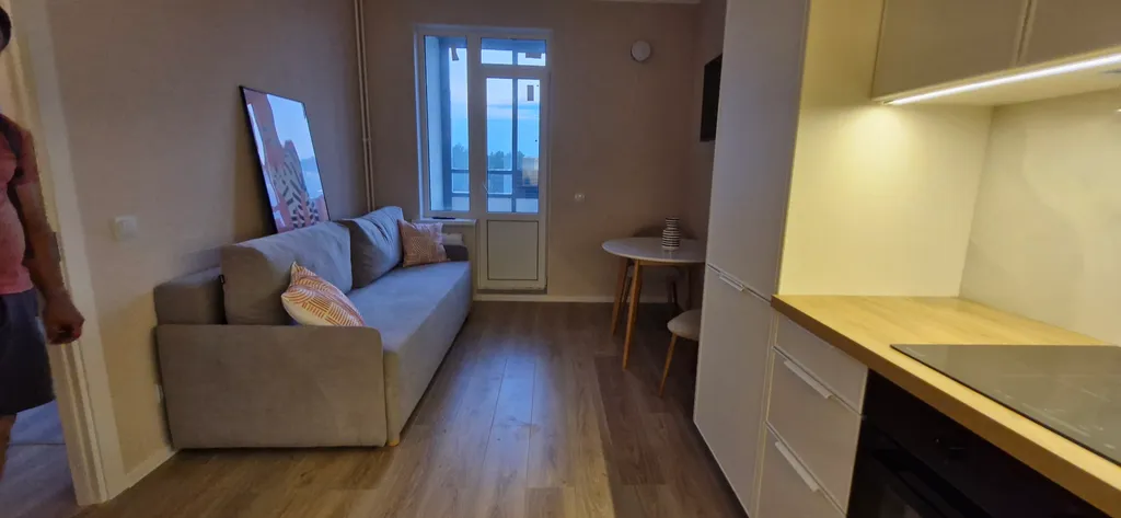 Квартира Атмосферная квартира Лина — Янино-1